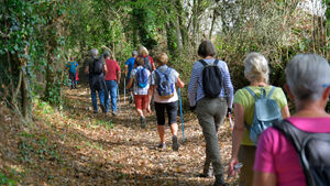 Balades conviviales randonnée